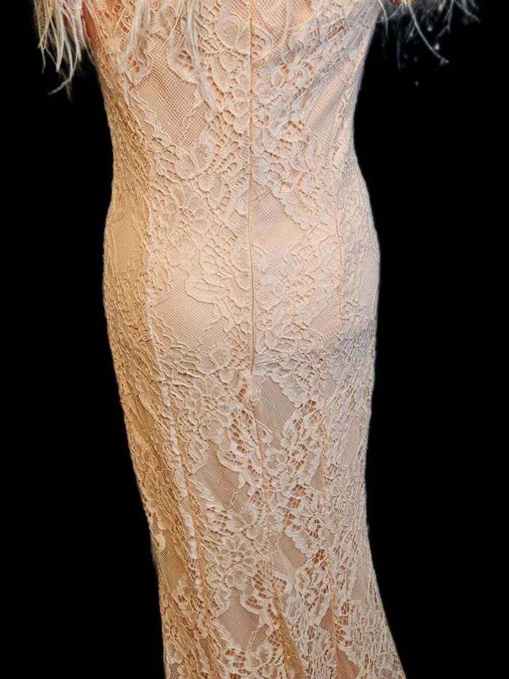 Size 10 Odrella 5860 Powder Champagne Lace Mermaid Gown Beaded Feather Trim NWT